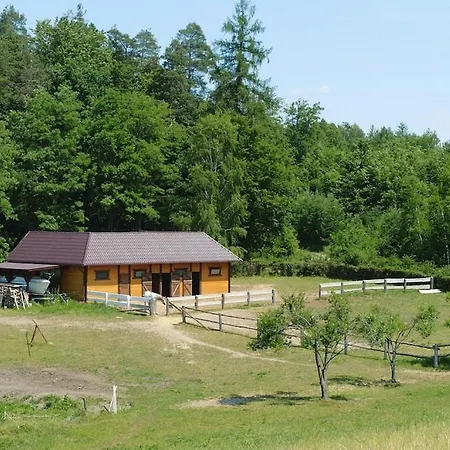 Appartement In A Fantastic Location Just 20 M From Boruja In Rekowo *