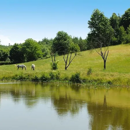 In A Fantastic Location Just 20 M From Boruja In Rekowo * Rekowo (Bytow)