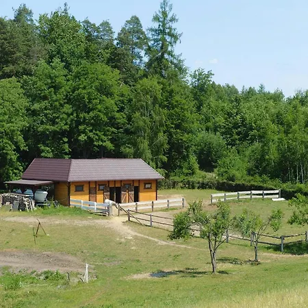 In A Fantastic Location Just 20 M From Boruja In Rekowo * Rekowo (Bytow)