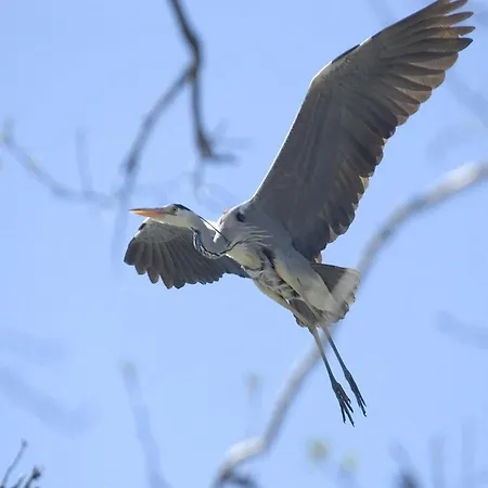 In A Fantastic Location Just 20 M From Boruja In Rekowo Rekowo (Bytow)