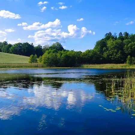 In A Fantastic Location Just 20 M From Boruja In Rekowo