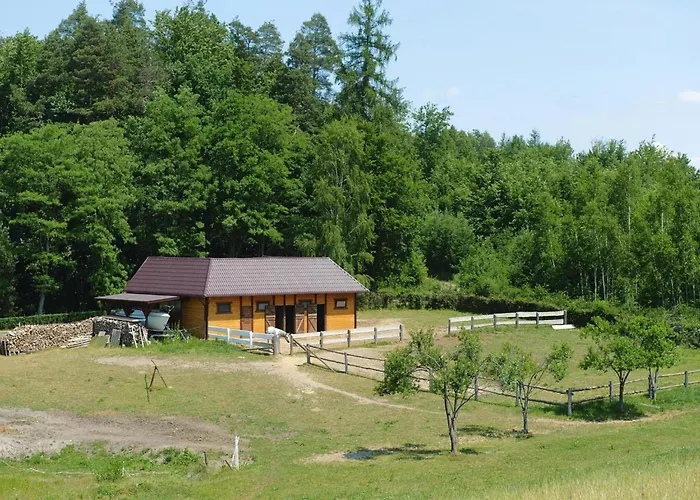 In A Fantastic Location Just 20 M From Boruja In Rekowo * Rekowo (Bytow)