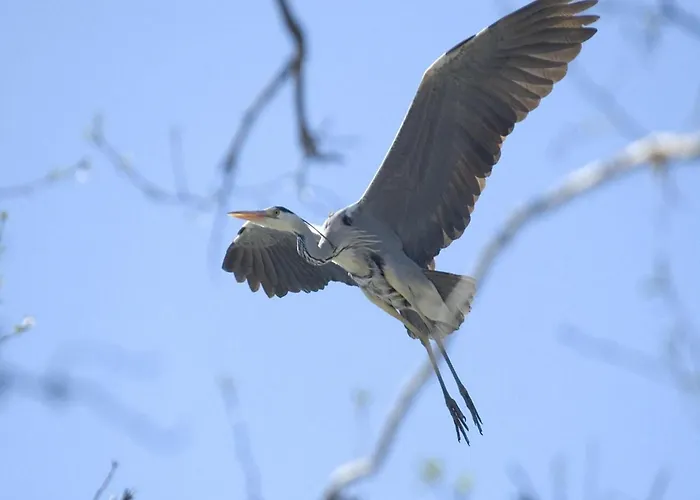 In A Fantastic Location Just 20 M From Boruja In Rekowo Rekowo (Bytow)