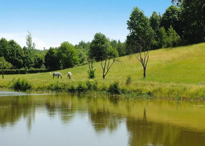 In A Fantastic Location Just 20 M From Boruja In Rekowo شقة Rekowo (Bytow)