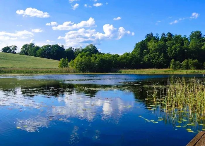 In A Fantastic Location Just 20 M From Boruja In Rekowo