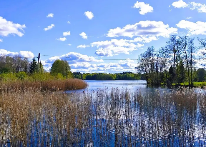 In A Fantastic Location Just 20 M From Boruja In Rekowo شقة